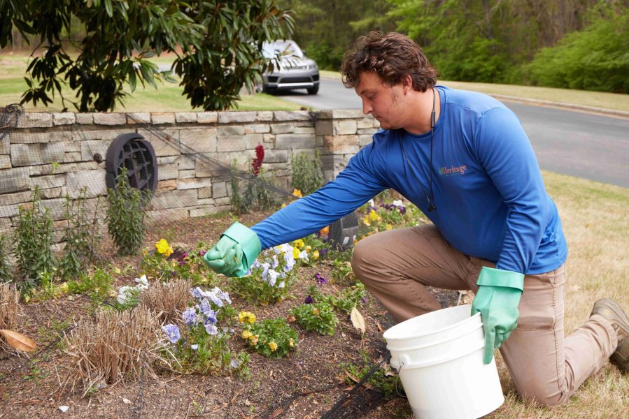 Heritage Lawn & Tree Care